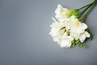 Beautiful freesia flowers on grey background