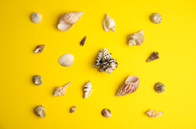 Photo of Different beautiful sea shells on yellow background, flat lay