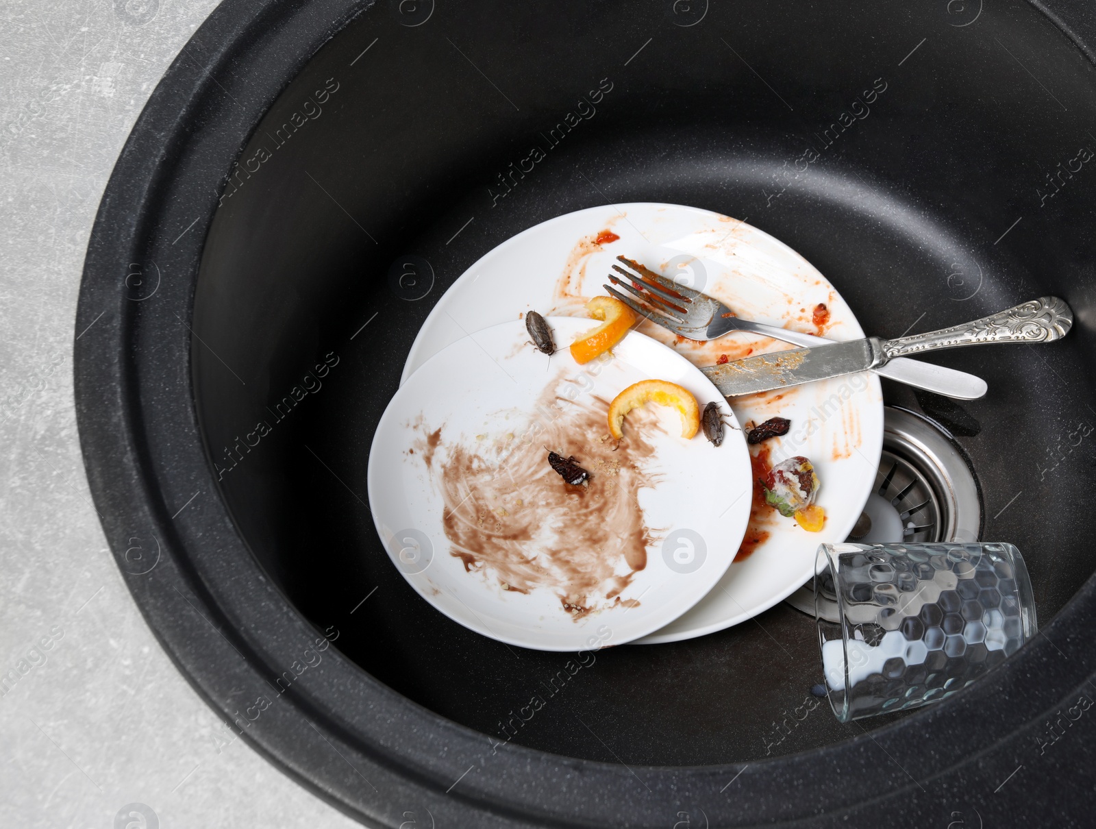 Photo of Cockroaches and dirty dishware in sink indoors, above view. Pest control