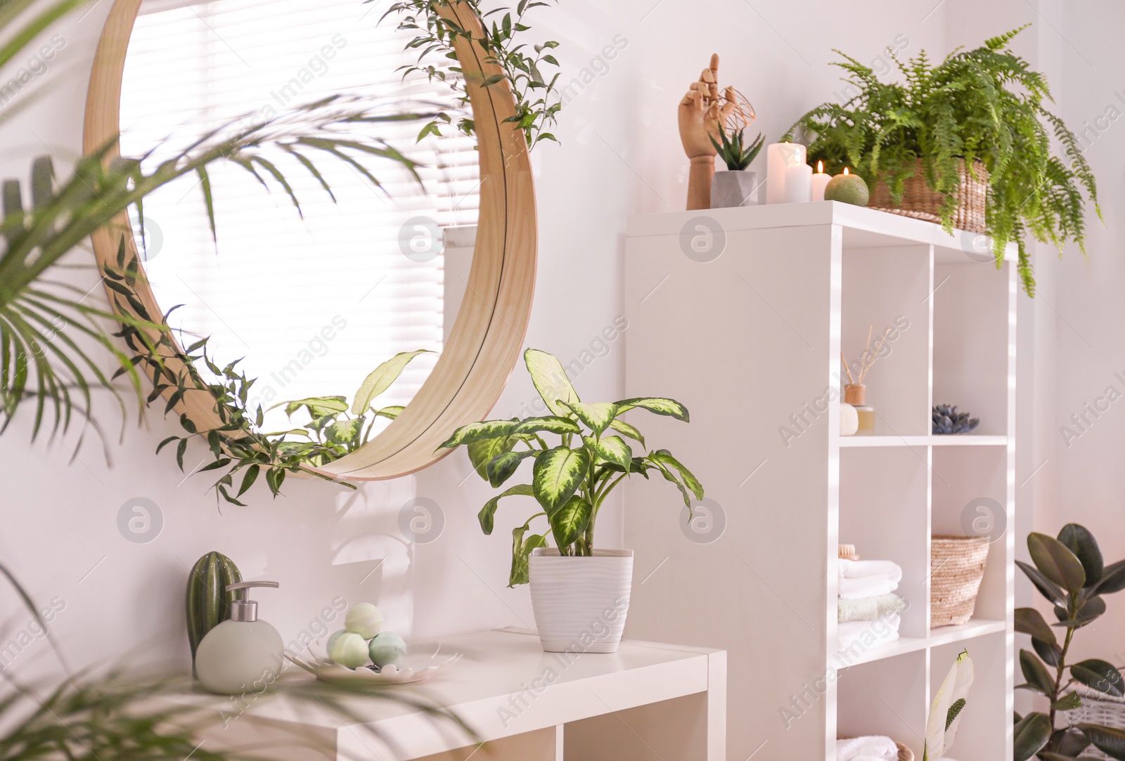 Photo of Beautiful green plants in elegant modern bathroom. Interior design