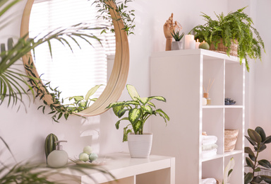 Beautiful green plants in elegant modern bathroom. Interior design