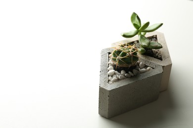 Succulent plant and cactus in concrete pots on white table, closeup. Space for text