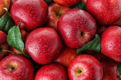 Many ripe juicy red apples covered with water drops as background