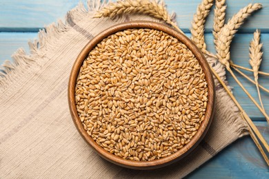 Photo of Wheat grains with spikelets on light blue wooden table, flat lay