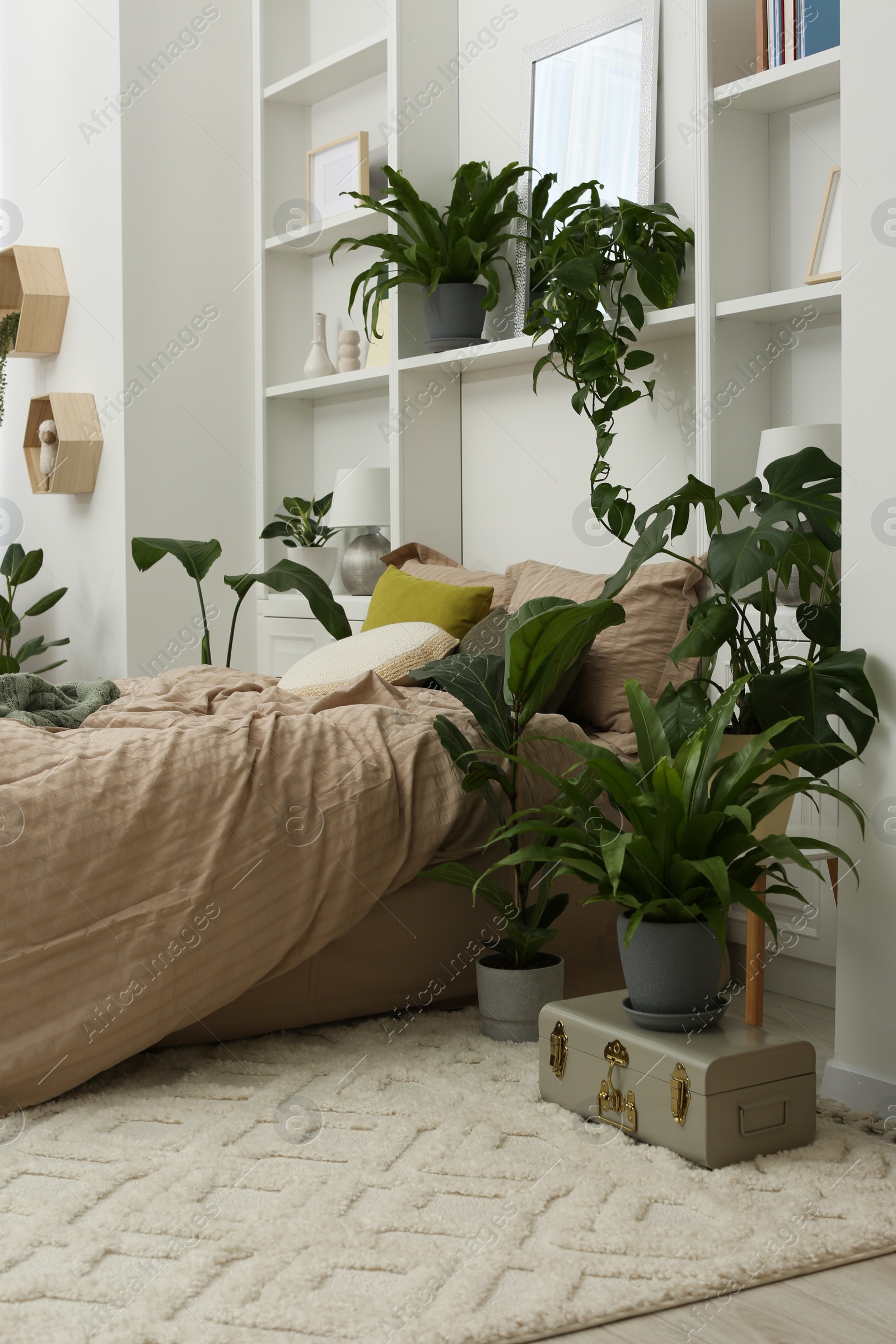 Photo of Stylish bedroom with comfortable bed and different houseplants. Interior design