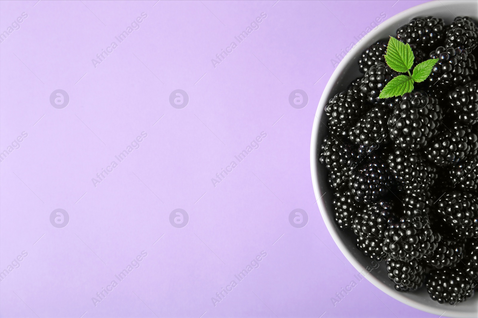 Photo of Bowl of tasty ripe blackberries and leaves on purple background, top view with space for text