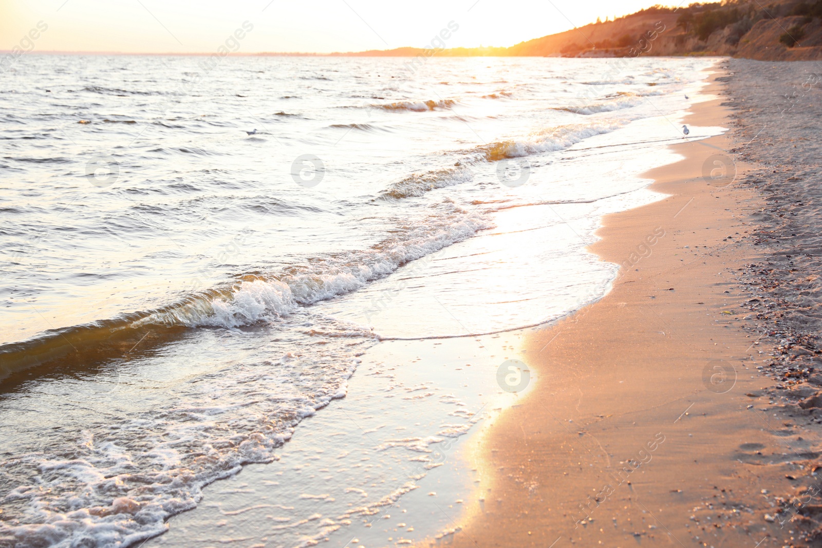 Photo of Beautiful view of sea coast at sunset