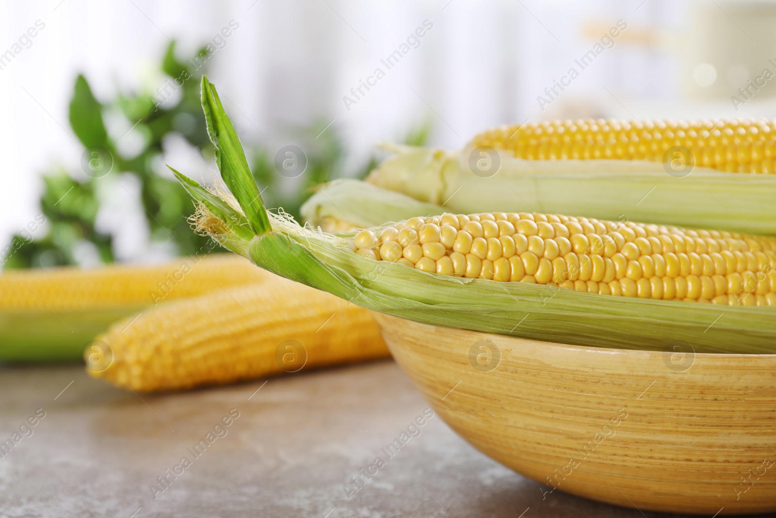 Photo of Bowl with tasty sweet corn cobs on table, closeup