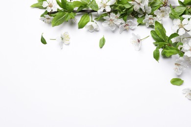 Photo of Cherry tree branches with beautiful blossoms on white background, flat lay. Space for text