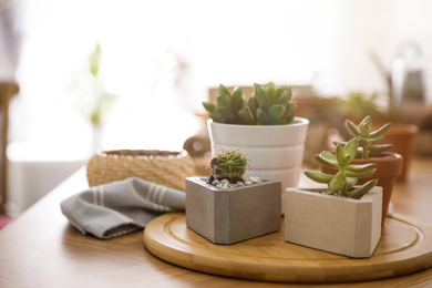 Beautiful potted plants on wooden table at home, space for text. Engaging hobby