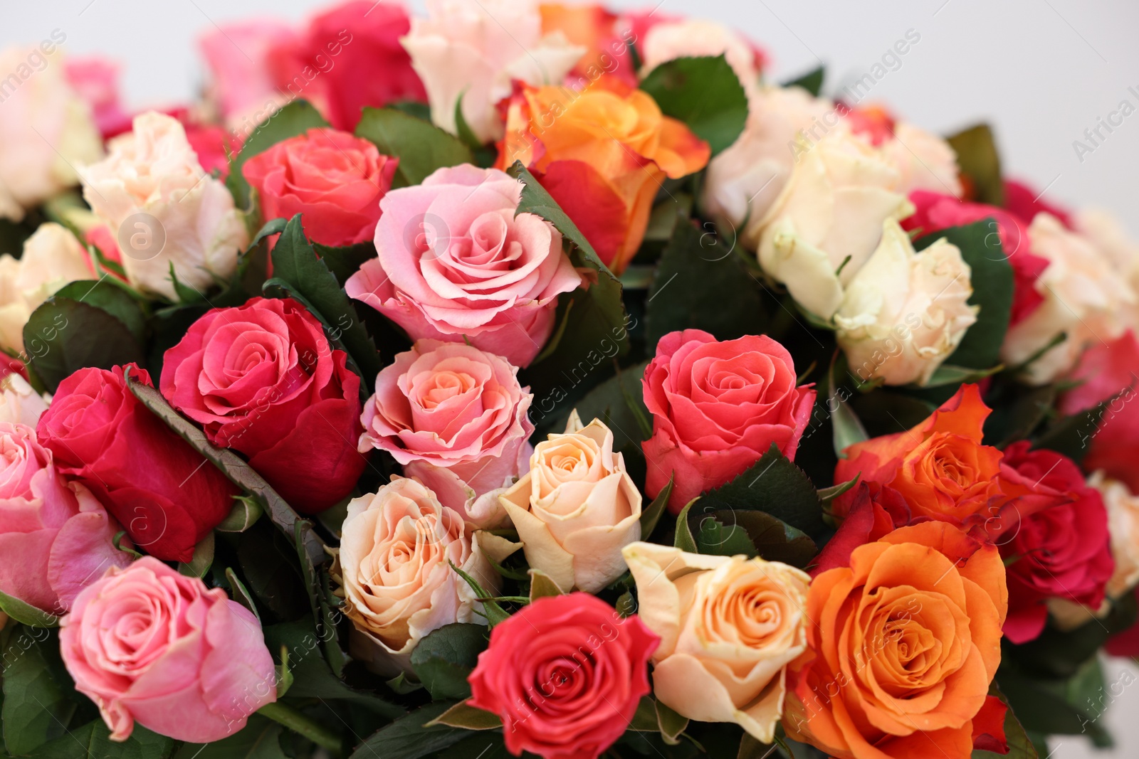 Photo of Beautiful bouquet of colorful roses, closeup view