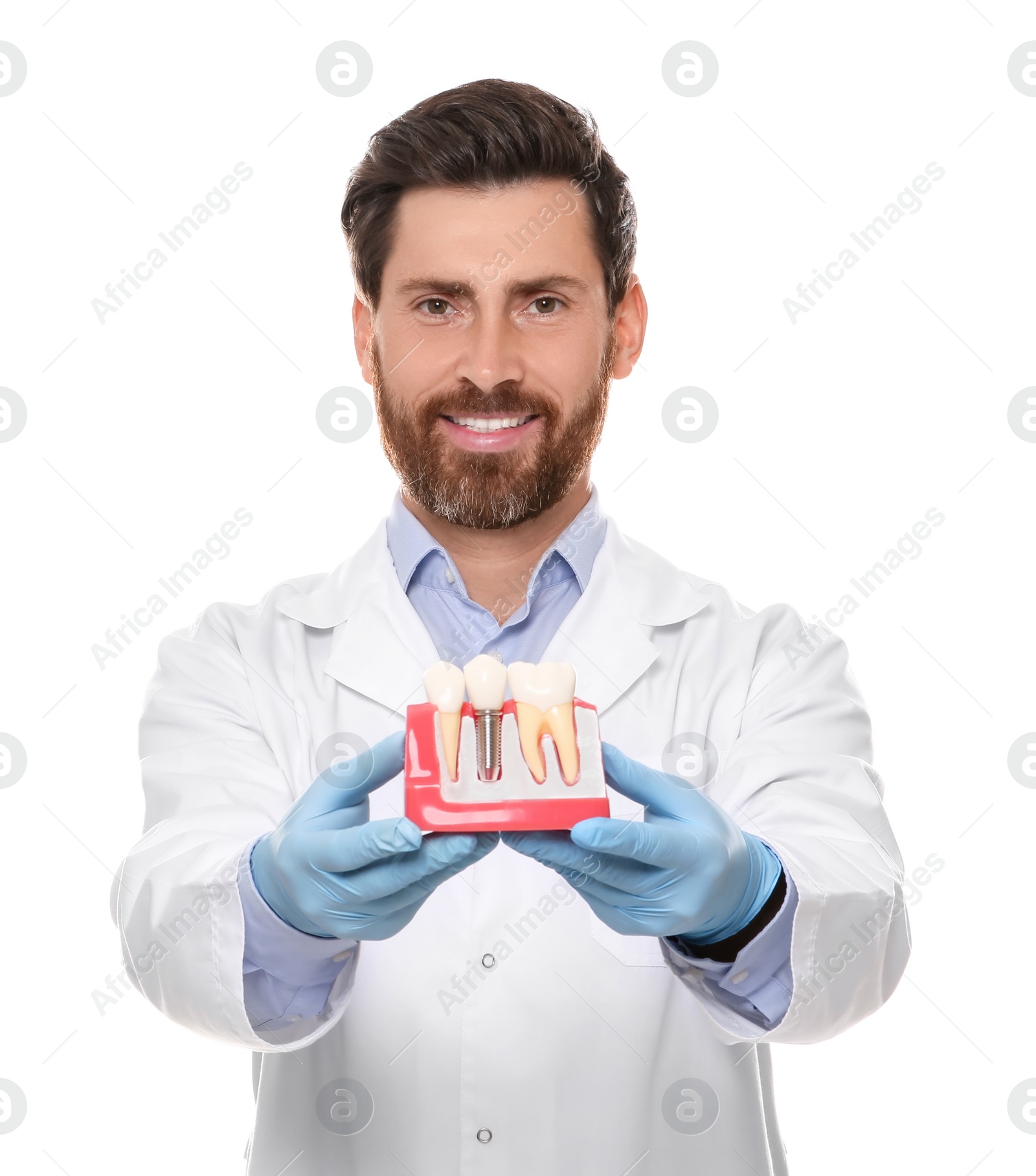 Photo of Dentist holding educational model of dental implant on white background