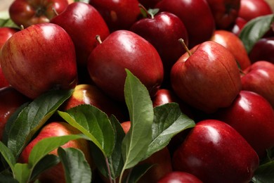 Photo of Fresh ripe red apples with leaves as background, closeup