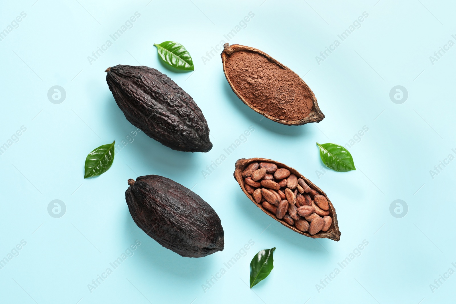 Photo of Cocoa pods with beans and powder on light blue background, flat lay