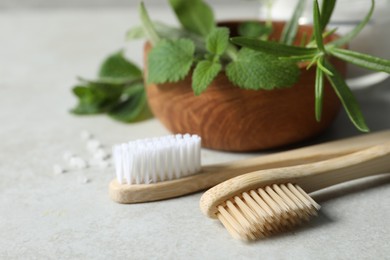 Photo of Toothbrushes and green herbs on light grey table, closeup