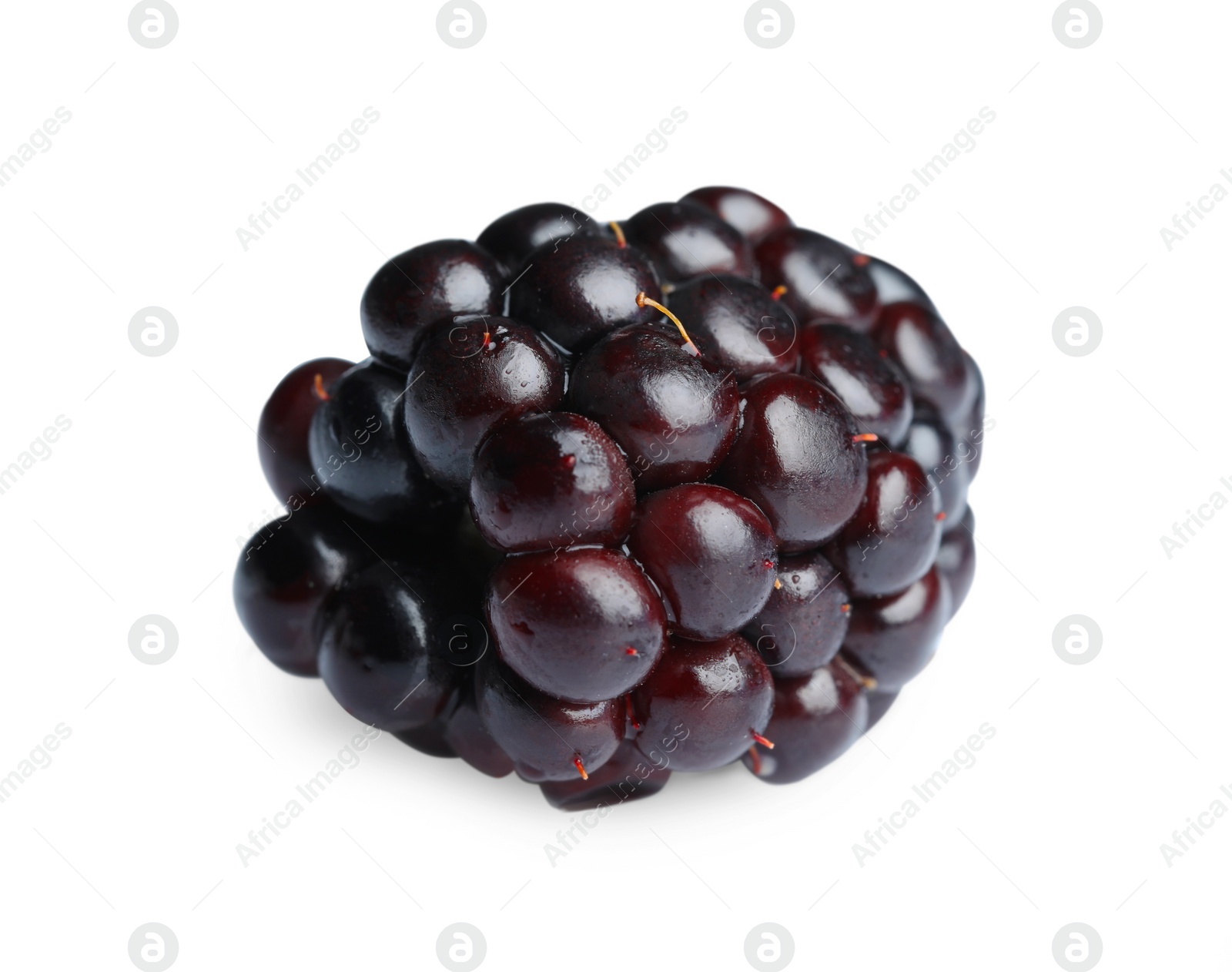 Photo of One tasty ripe blackberry isolated on white