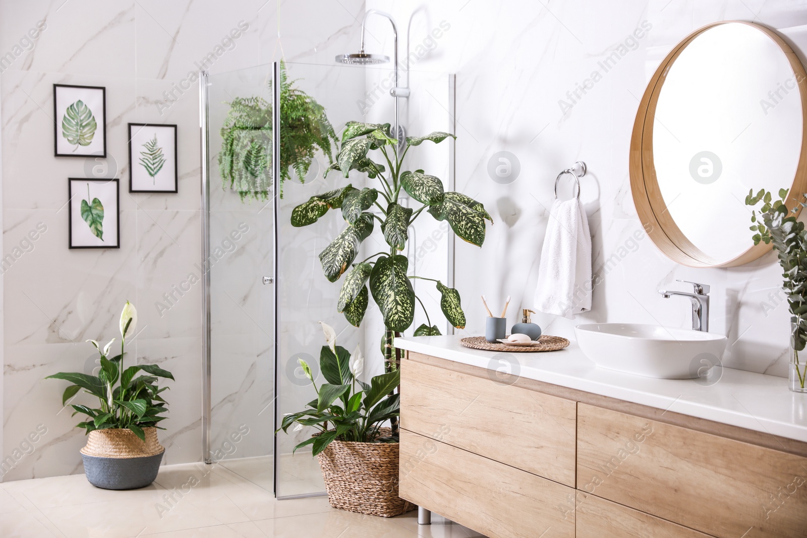 Photo of Green plants in elegant modern bathroom. Interior design