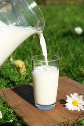 Photo of Pouring tasty fresh milk from jug into glass on green grass outdoors