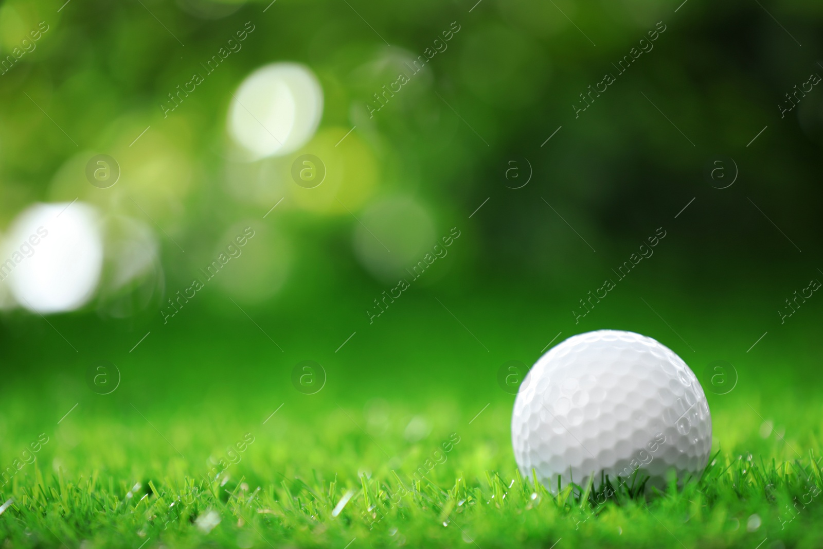 Photo of Golf ball on green grass against blurred background