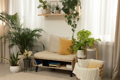 Photo of Stylish room interior with beautiful houseplants and comfortable bench