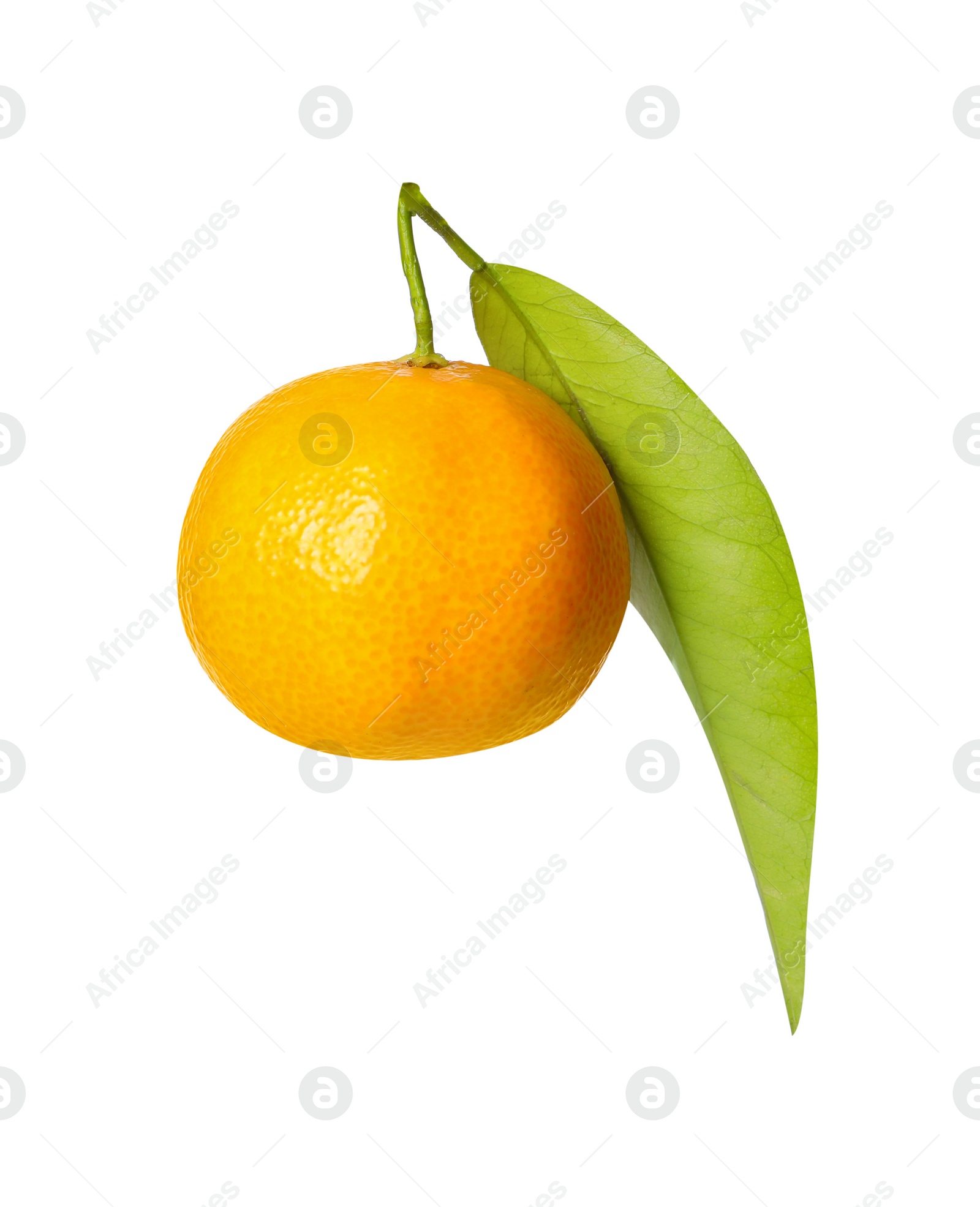 Photo of One fresh tangerine with green leaf isolated on white