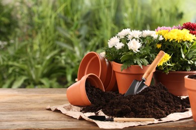 Beautiful flowers, pots, soil and gardening tools on wooden table outdoors. Space for text