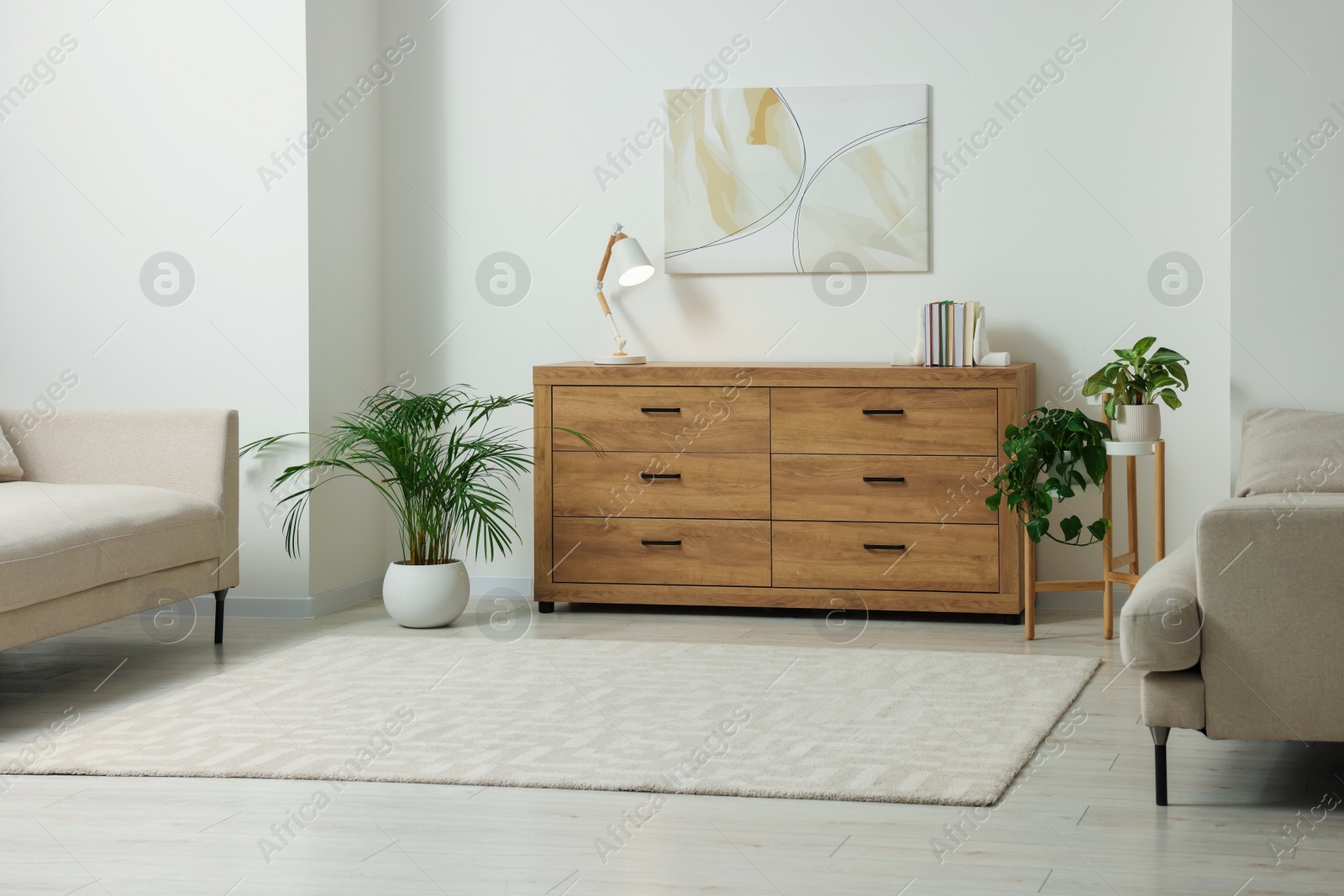 Photo of Stylish living room with wooden chest of drawers, sofas and potted plants. Interior design