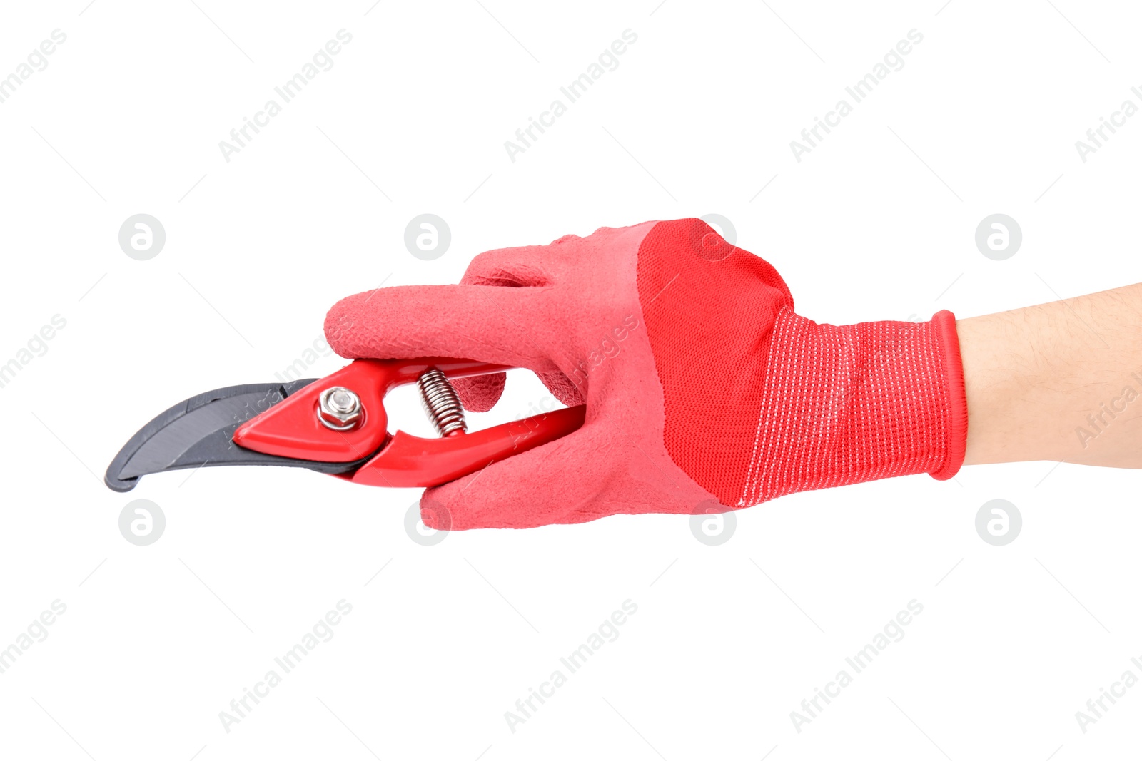 Photo of Woman in gardening glove holding secateurs on white background, closeup