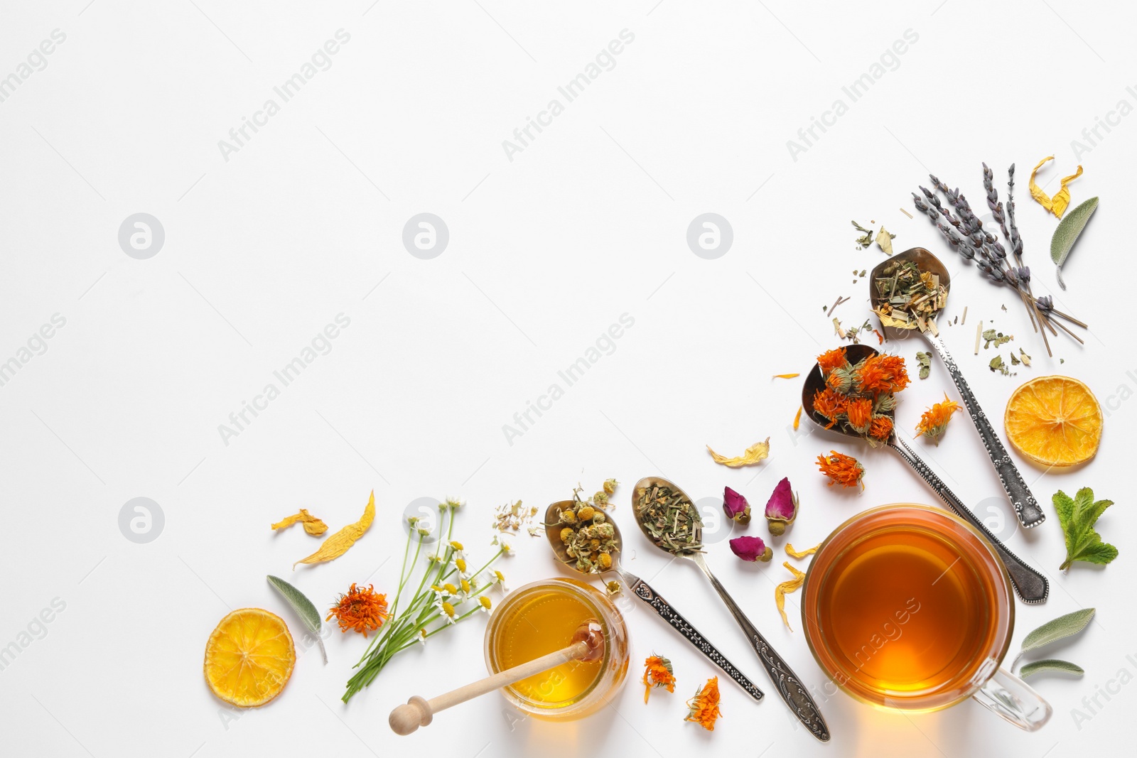 Photo of Freshly brewed tea and dried herbs on white background, top view. Space for text