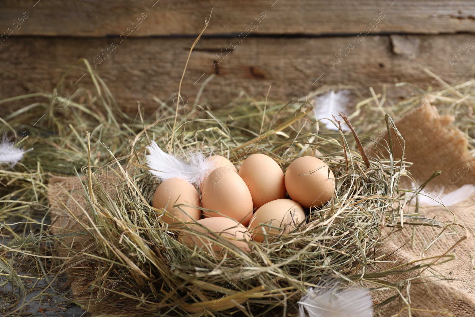 Photo of Fresh raw chicken eggs in nest on table