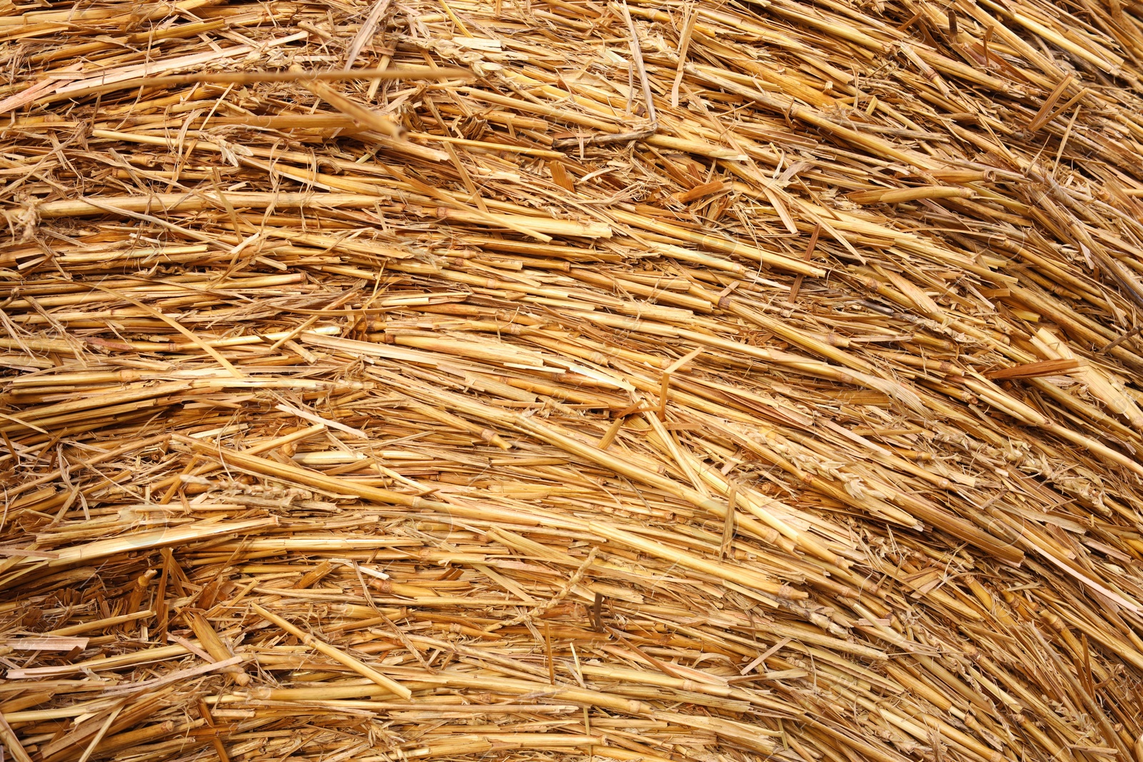 Photo of Hay bale roll as background, closeup view
