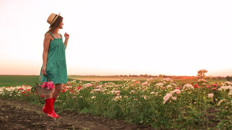 Woman with basket of roses in beautiful blooming field