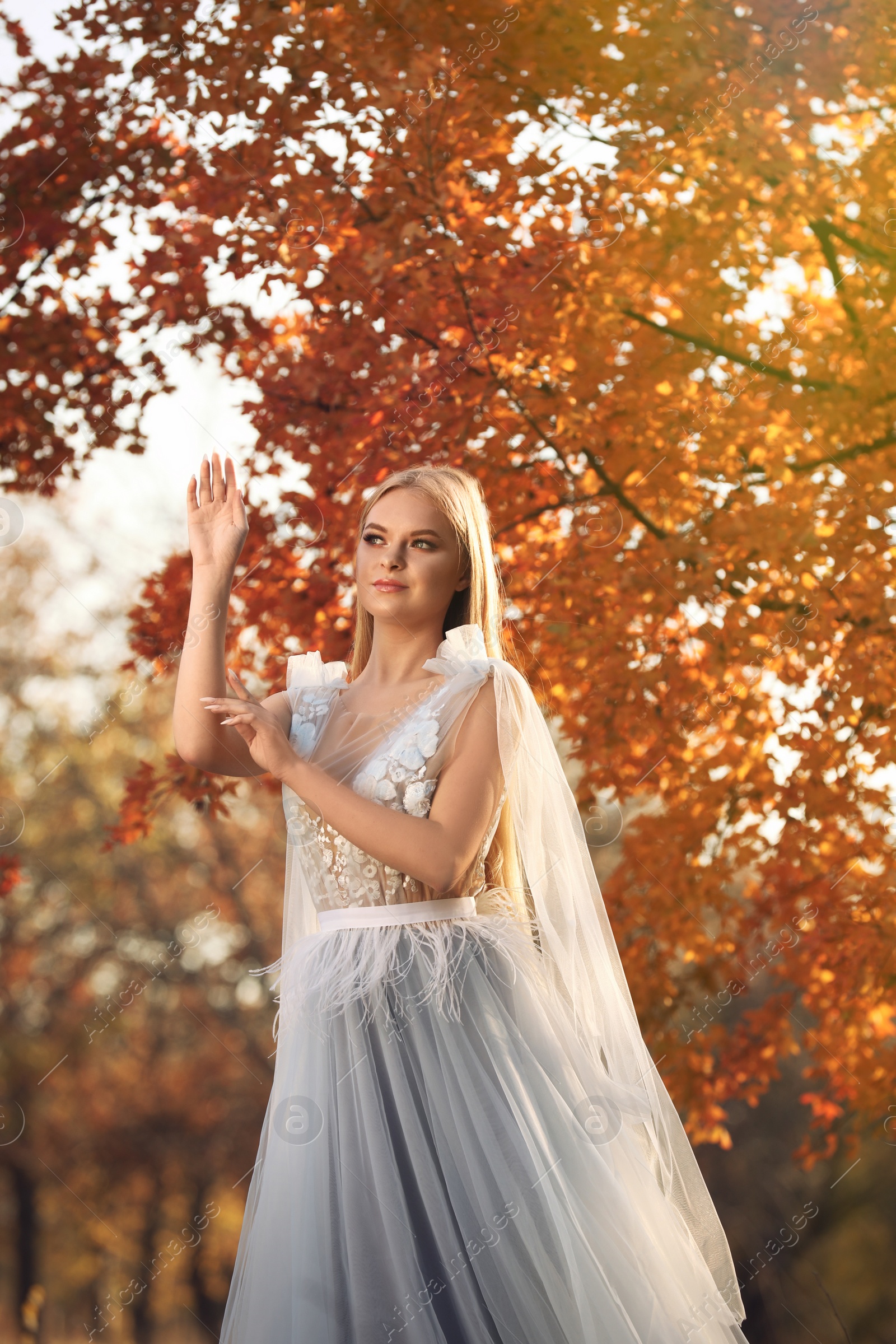 Photo of Beautiful girl wearing fairy dress in autumn forest