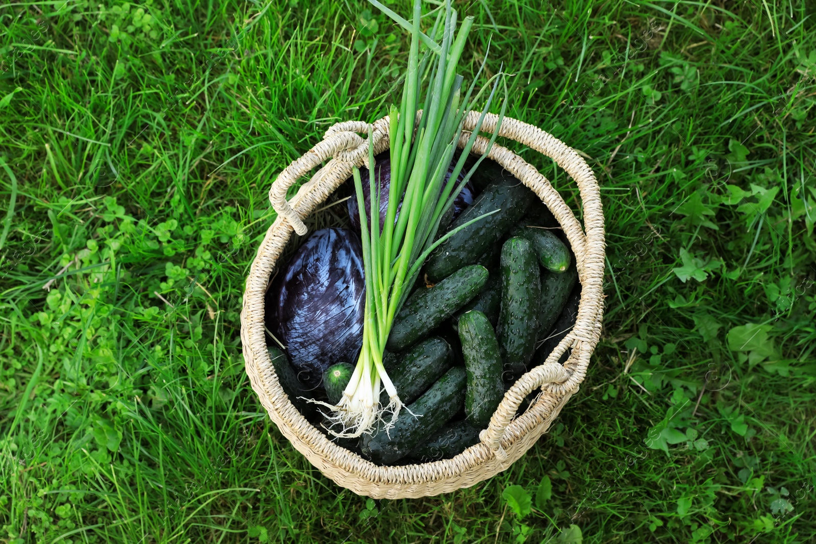 Photo of Tasty vegetables in wicker basket on green grass, top view