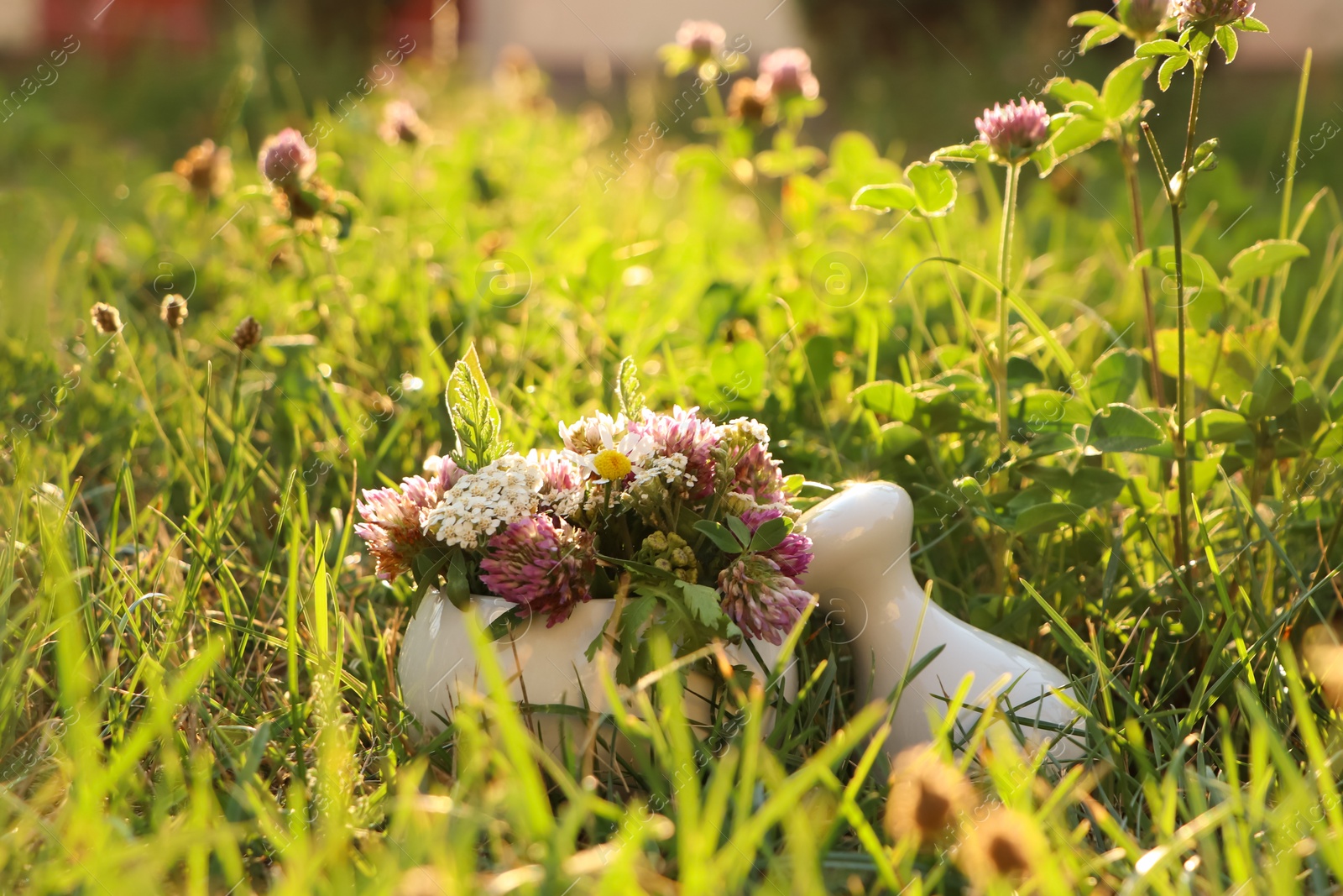 Photo of Ceramic mortar with pestle, different wildflowers and herbs in meadow on sunny day