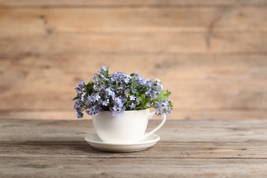 Photo of Beautiful forget-me-not flowers in cup and saucer on wooden table