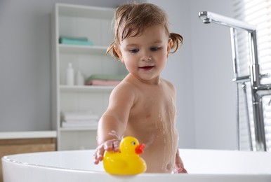 Cute little girl playing with rubber duck in bathtub at home
