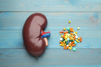Photo of Kidney model and pills on blue wooden table, flat lay