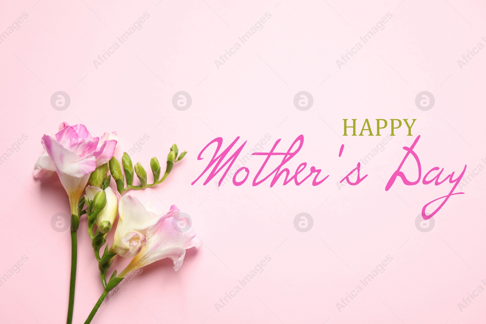 Image of Happy Mother's Day. Beautiful freesia flowers on pink background, flat lay