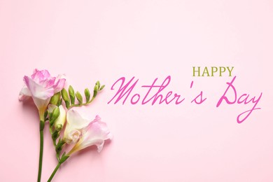 Image of Happy Mother's Day. Beautiful freesia flowers on pink background, flat lay