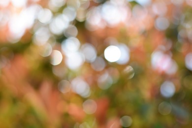 Photo of Blurred view of abstract colorful background. Bokeh effect
