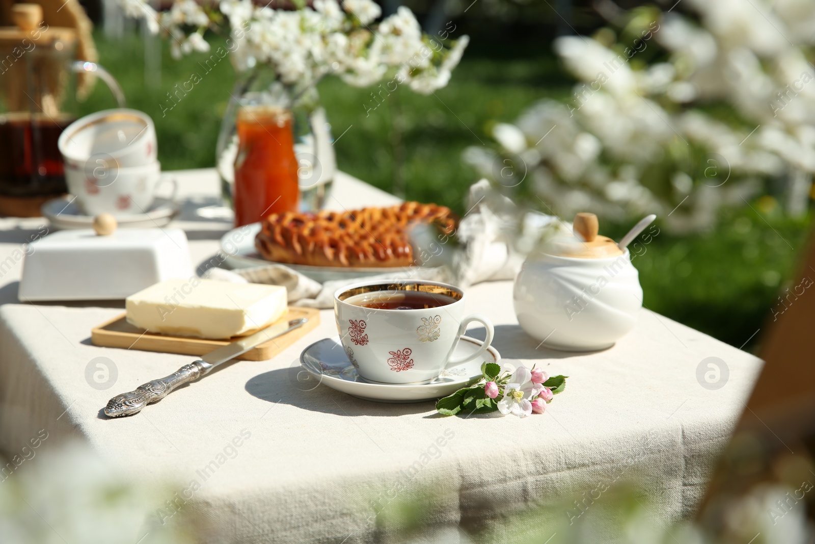 Photo of Beautiful table setting in spring garden on sunny day