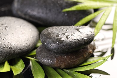 Photo of Wet spa stones and palm leaves in water on light background, closeup