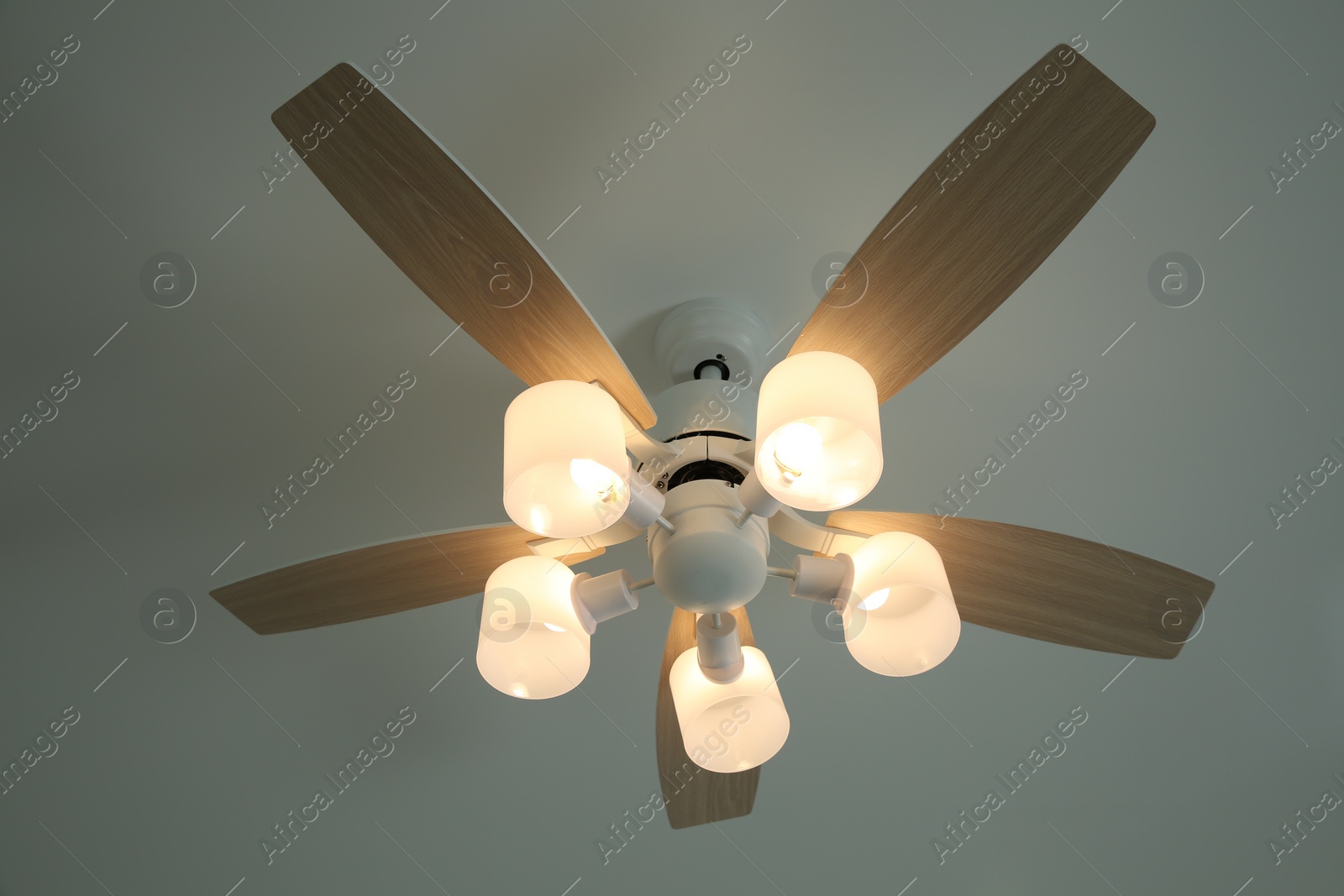 Photo of Ceiling fan with lamps indoors, low angle view