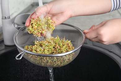 Photo of Woman washing sprouted green buckwheat over sink, closeup