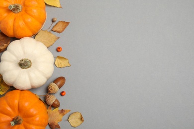 Different ripe pumpkins, autumn leaves, berries and acorns on grey background, flat lay. Space for text