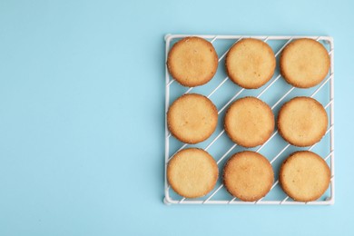 Photo of Tasty sweet sugar cookies on light blue background, top view. Space for text