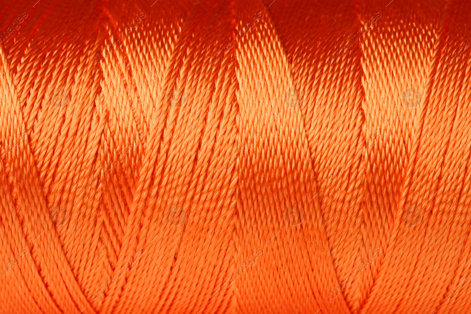 Photo of Color thread spool, closeup