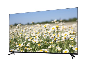 Image of Modern wide screen TV monitor showing beautiful chamomile flowers in field isolated on white