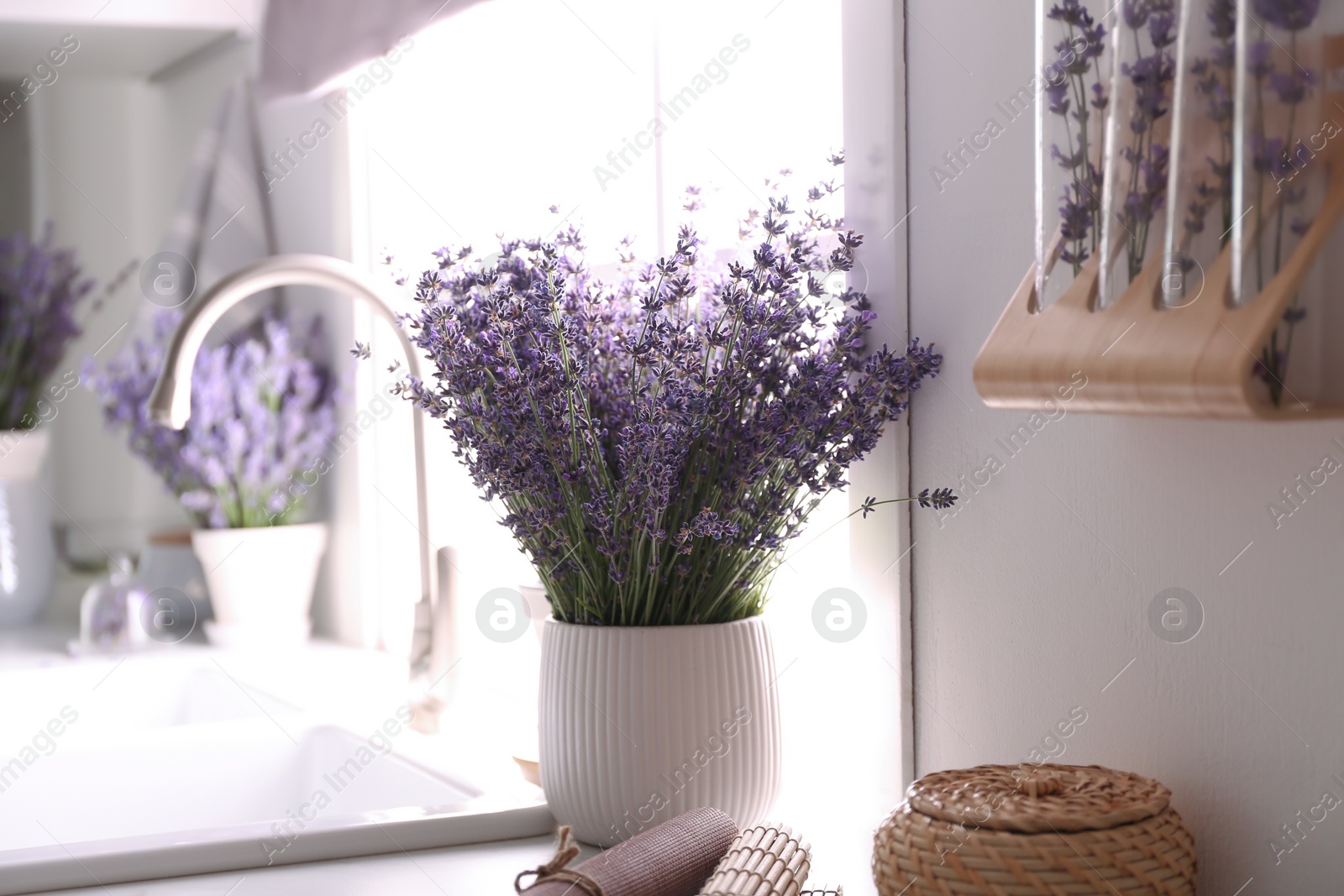 Photo of Beautiful lavender flowers on countertop near sink in kitchen